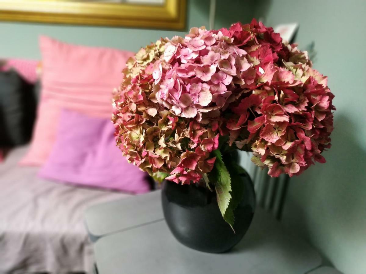 Séjour chez l'habitant Chez Anne Fécamp